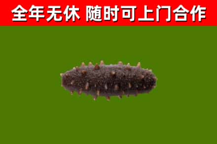 寒亭区烟酒回收干海参.jpg